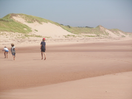 Bothwell Beach Dunes
Just East of Basin Head